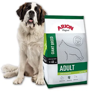 ARION Original Adult Giant Breed Chicken & Rice 12kg