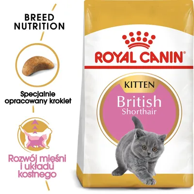 ROYAL CANIN Kitten British Shorthair 10kg