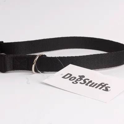 DogStuffs Obroża z plastikową klamrą 20mm/30-55cm czarna