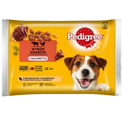 PEDIGREE Adult saszetka 4x100 g - Wybór Smaków w Galaretce