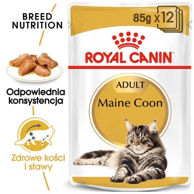 ROYAL CANIN Maine Coon Adult saszetka 12x85g (Sos)