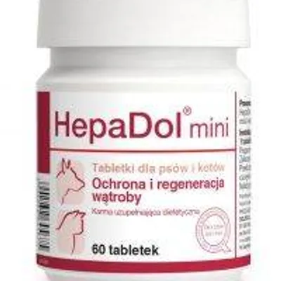 DOLFOS HepaDol Mini 60 tabletek