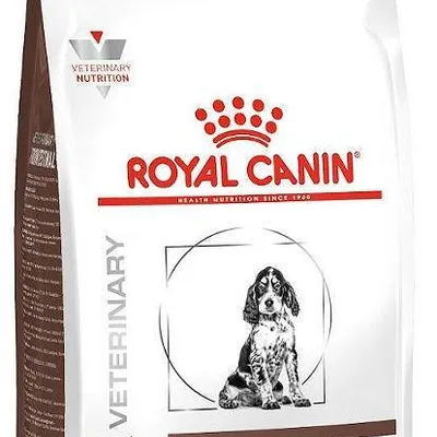 ROYAL CANIN Gastro Intestinal Junior GIJ29 10kg