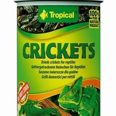 TROPICAL Crickets 100ml