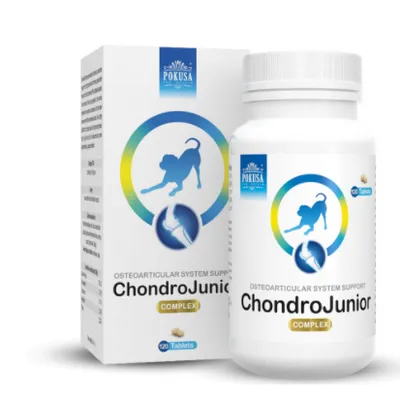 POKUSA ChondroLine ChondroJunior 120 tab.