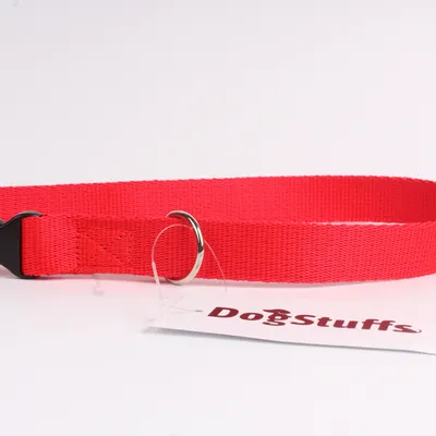 DogStuffs Obroża z plastikową klamrą 20mm/30-55cm czerwona