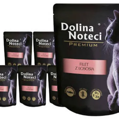 ZESTAW Dolina Noteci PREMIUM dla kota - filet z łososia w sosie 10 x 85g