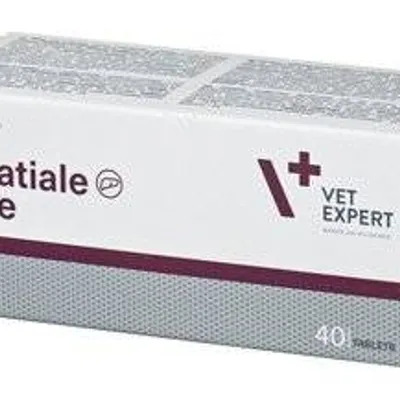 VETEXPERT Hepatiale Forte 40 tabl.