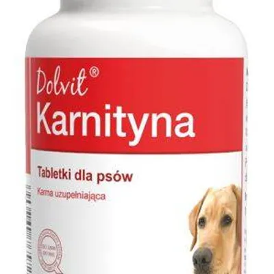 Dolvit Karnityna 90 tabletek