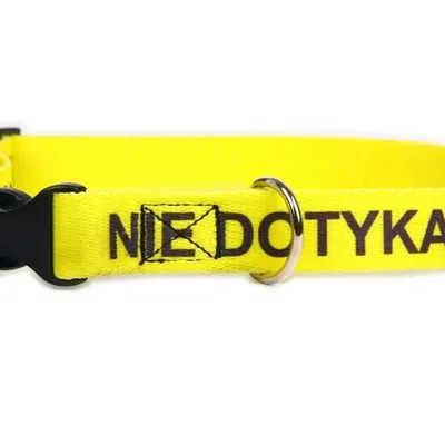 DogStuffs Obroża NIE DOTYKAJ z plastikową klamrą 25mm/34-60cm