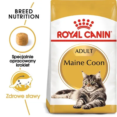 ROYAL CANIN Maine Coon Adult 31 4kg