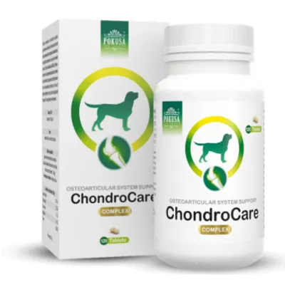 POKUSA ChondroLine ChondroCare 120 tabl.