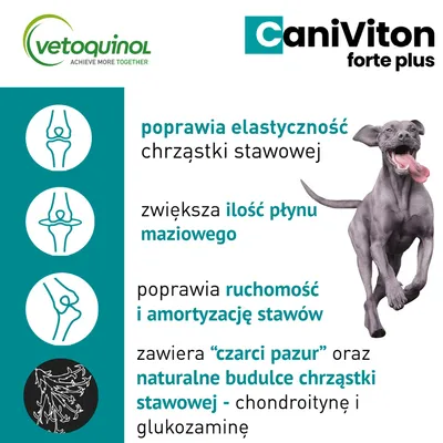 VETOQUINOL Caniviton forte plus - 90 tab.