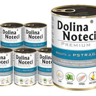 ZESTAW Dolina Noteci Premium Pstrąg 12 x 400g