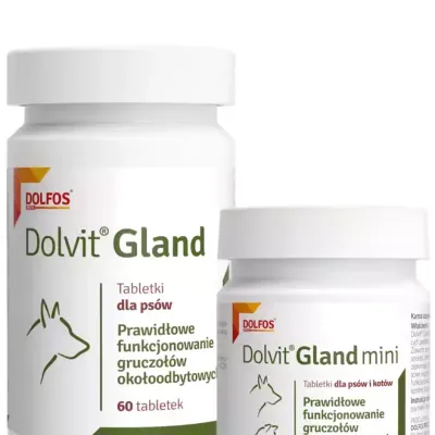 DOLFOS Dolvit Gland  Mini 60tabl.