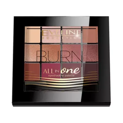 EVELINE ALL IN ONE PALETA CIENI DO POWIEK BURN 12G