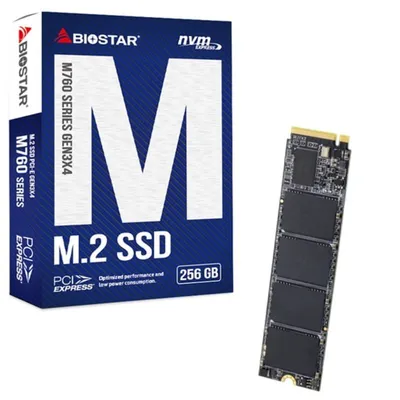 Dysk SSD Biostar M760 256GB