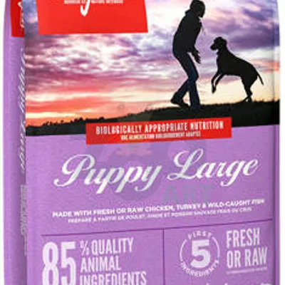 ORIJEN Dog Puppy Large 11,4kg