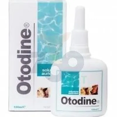 GEULINCX Otodine 100ml + Dentastix 77g