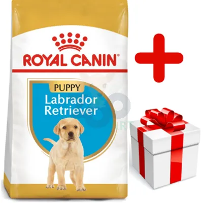 ROYAL CANIN Labrador Retriever Puppy 12kg + niespodzianka dla psa GRATIS!