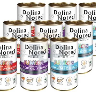 Dolina Noteci PREMIUM Junior MIX Smaków 24x400g