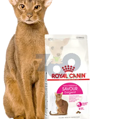 ROYAL CANIN  Exigent Savour 35/30 Sensation 400g karma sucha dla kotów dorosłych, wybrednych, kierujących się teksturą krokieta