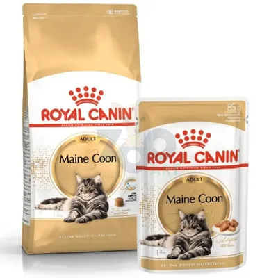 ROYAL CANIN Maine Coon Adult 31 2kg + 12x Maine Coon Adult saszetka 85g (Sos)