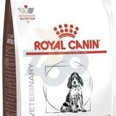 ROYAL CANIN Gastro Intestinal Puppy (Junior)  GIJ29 1kg