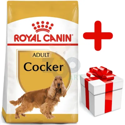 ROYAL CANIN Cocker Spaniel Adult 12kg  + niespodzianka dla psa GRATIS!