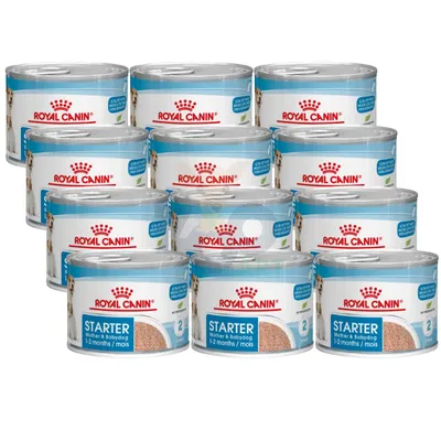 ROYAL CANIN Starter Mousse Mother&Babydog 195g