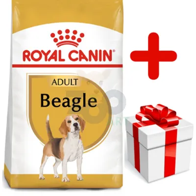 ROYAL CANIN Beagle Adult 12kg  + niespodzianka dla psa GRATIS!