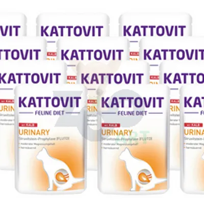 Kattovit Urinary cielęcina 12x85g saszetka