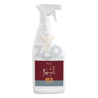 Over Cabi spray 500ml