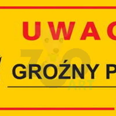 DINGO tabliczka ostrzegawcza "UWAGA GROŹNY PIES"