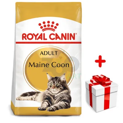 ROYAL CANIN Maine Coon Adult 4kg karma sucha dla kotów dorosłych rasy maine coon + niespodzianka dla kota GRATIS!