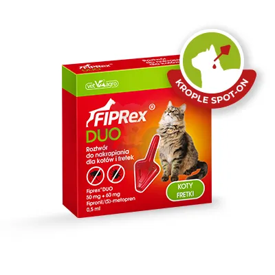 Fiprex DUO Kot 50 mg + 60 mg roztwór do nakrapiania dla kotów i fretek