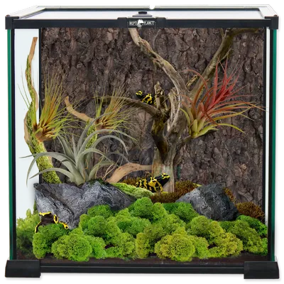 REPTI PLANET  terrarium szklane 30x30x45cm