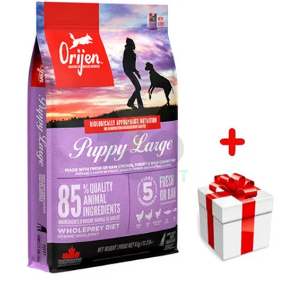 ORIJEN Puppy Large 6kg + niespodzianka dla psa GRATIS!