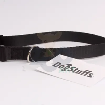 DogStuffs Obroża z plastikową klamrą 20mm/30-55cm czarna