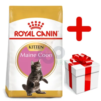 ROYAL CANIN Maine Coon Kitten 10kg  +  niespodzianka dla kota GRATIS!