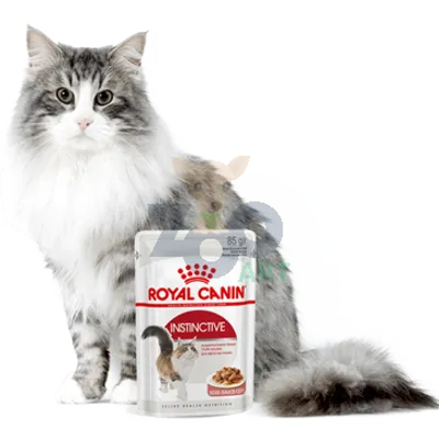 ROYAL CANIN  Instinctive 24x85g w sosie karma mokra w sosie dla kotów dorosłych, wybrednych