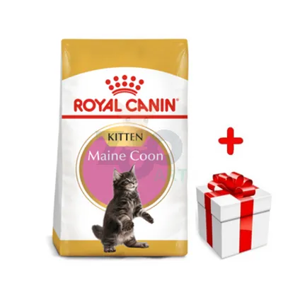 ROYAL CANIN Maine Coon Kitten 4kg karma sucha dla kociąt, do 15 miesiąca, rasy maine coon  + niespodzianka dla kota GRATIS!