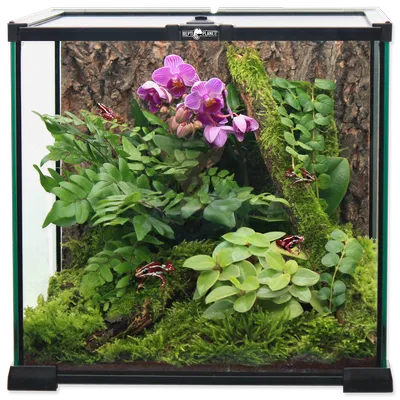 REPTI PLANET  terrarium szklane 20x20x20cm