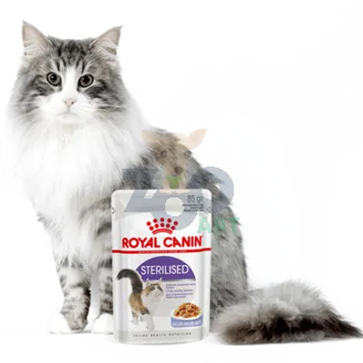 ROYAL CANIN  Sterilised 24x85g karma mokra w galaretce dla kotów dorosłych, sterylizowanych