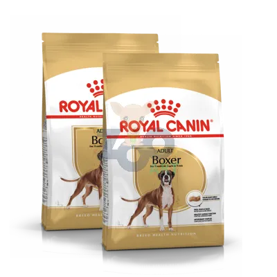 ROYAL CANIN Boxer Adult 2x12kg karma sucha dla psów dorosłych rasy bokser