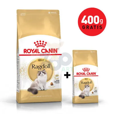 ROYAL CANIN Ragdoll Adult 2kg