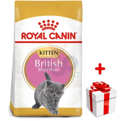 ROYAL CANIN Kitten British Shorthair 400g