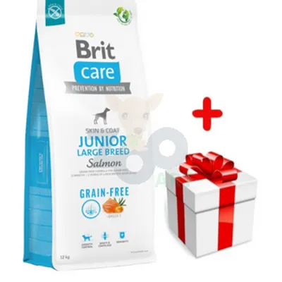 BRIT CARE Dog Grain-free Junior Large Breed Salmon 12kg + niespodzianka dla psa GRATIS!