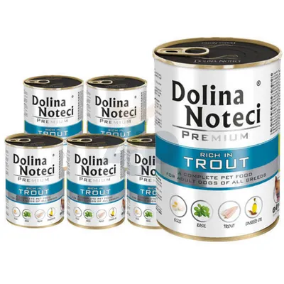 Dolina Noteci Premium Pstrąg 24x400g