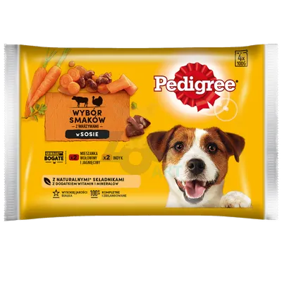 PEDIGREE Adult saszetka 4x100 g - Wybór Smaków z Marchewką w Sosie, mokra karma pełnoporcjowa dla dorosłych psów (kawałki bogate w mieszankę wołowiny i jagnięciny oraz kawałki bogate w indyka)